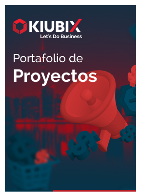 Portafolio de Proyectos
